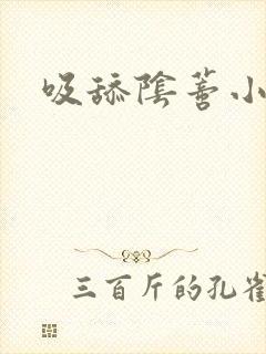 吸舔阴蒂小说封面