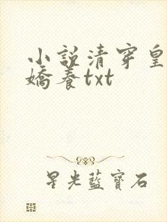 小说清穿皇妃要娇养txt