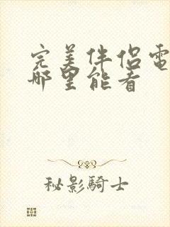 完美伴侣电视剧哪里能看