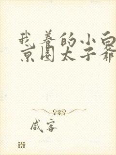 我养的小白脸是京圈太子爷txt