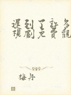 迟到了许多年电视剧免费观看封面
