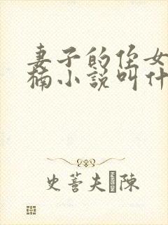 妻子的侄女刘茜楠小说叫什么名字