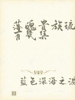 落魄贵族琉璃川有几集