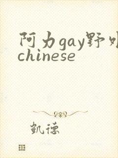 阿力gay野外chinese
