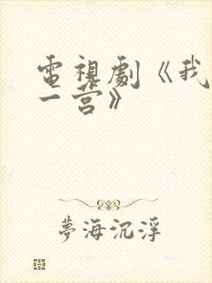 电视剧《我的特一营》