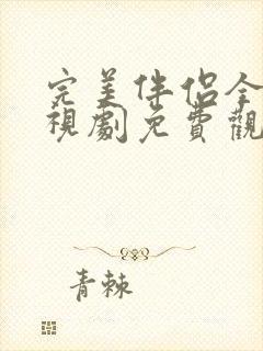 完美伴侣全集电视剧免费观看封面