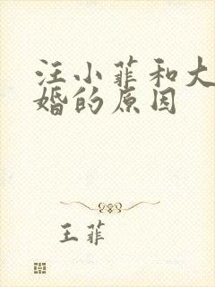 汪小菲和大s离婚的原因