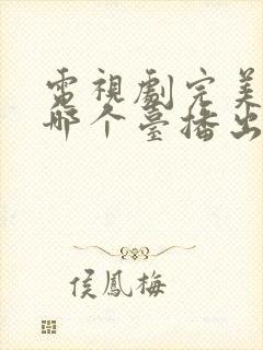 电视剧完美伴侣哪个台播出