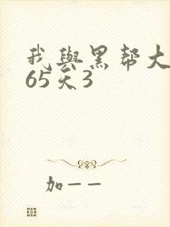 我与黑帮大佬365天3封面