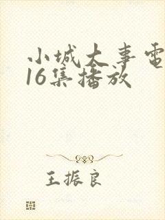 小城大事电视剧16集播放