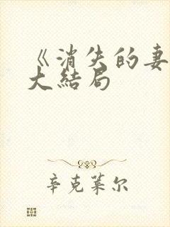 《消失的妻子》大结局封面