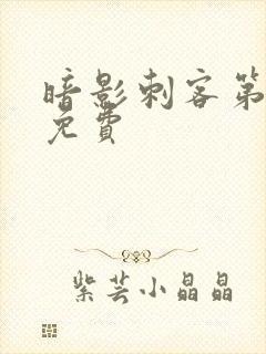 暗影刺客第9季免费