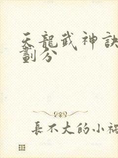 天龙武神诀境界划分