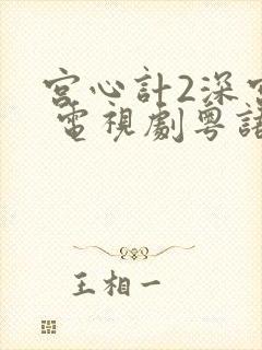 宫心计2深宫计 电视剧粤语封面