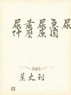 尿黄尿急尿频是什么原因
