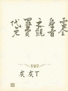 代罪之身电视剧免费观看全集封面