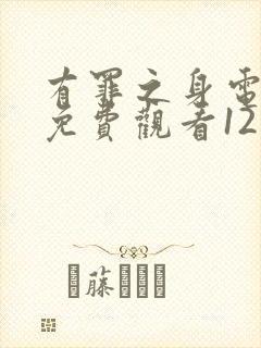 有罪之身电视剧免费观看12集高清