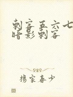 刺客五六七七大暗影刺客