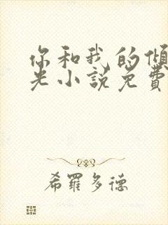 你和我的倾城时光小说免费阅读全文
