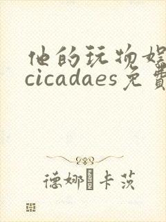 他的玩物娱乐圈cicadaes免费阅读小说