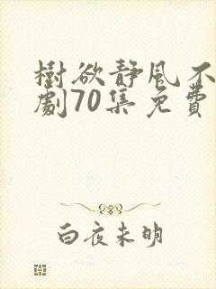 树欲静风不止短剧70集免费观看