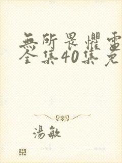 无所畏惧电视剧全集40集免费观看高清