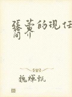 张蕾的现任丈夫简介