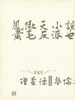 凤傲天小说里的黄毛反派也想幸福最新