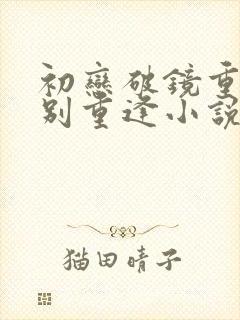 初恋破镜重圆久别重逢小说