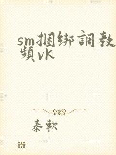 sm捆绑调教视频vk