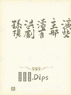 孙洪涛主演的电视剧有哪些