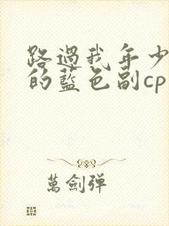 路过我年少时光的蓝色副cp