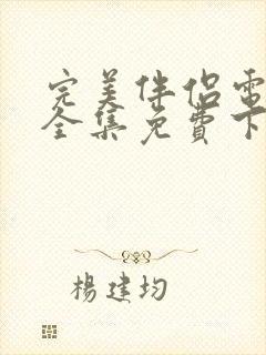 完美伴侣电视剧全集免费下载观看