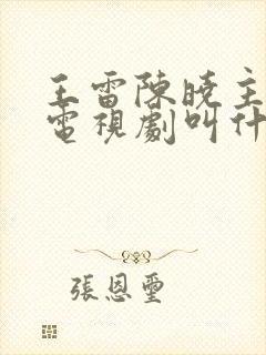 王雷陈晓主演的电视剧叫什么名字