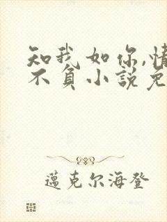 知我如你,情深不负小说免费阅读