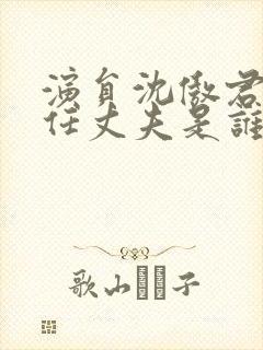 演员沈傲君的现任丈夫是谁