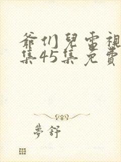 爷们儿电视剧全集45集免费观看