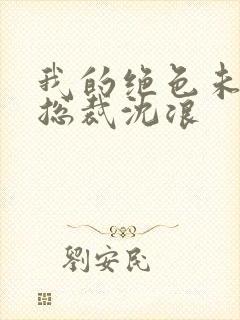 我的绝色未婚妻总裁沈浪