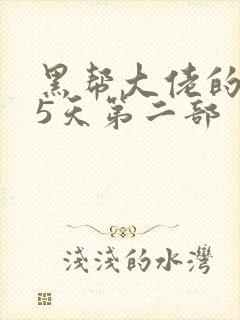 黑帮大佬的365天第二部