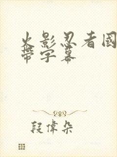 火影忍者国语版带字幕