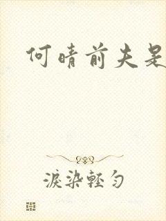何晴前夫是谁
