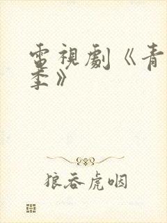 电视剧《青春无季》