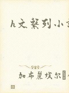 h文系列小说