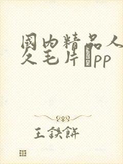国内精品人妻久久毛片αpp