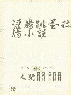 灌肠跳蛋拉珠浣肠小说