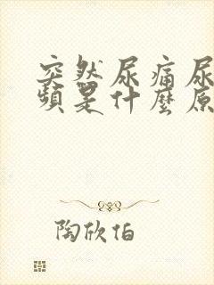 突然尿痛尿急尿频是什么原因