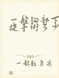 一般胸部下垂上提手术多少钱