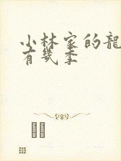 小林家的龙女仆有几季