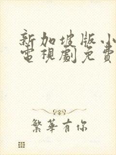 新加坡版小娘惹电视剧免费封面