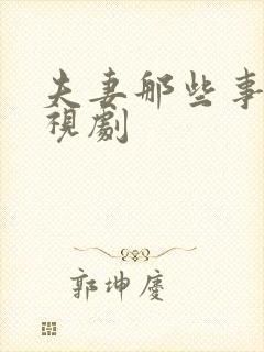 夫妻那些事 电视剧封面